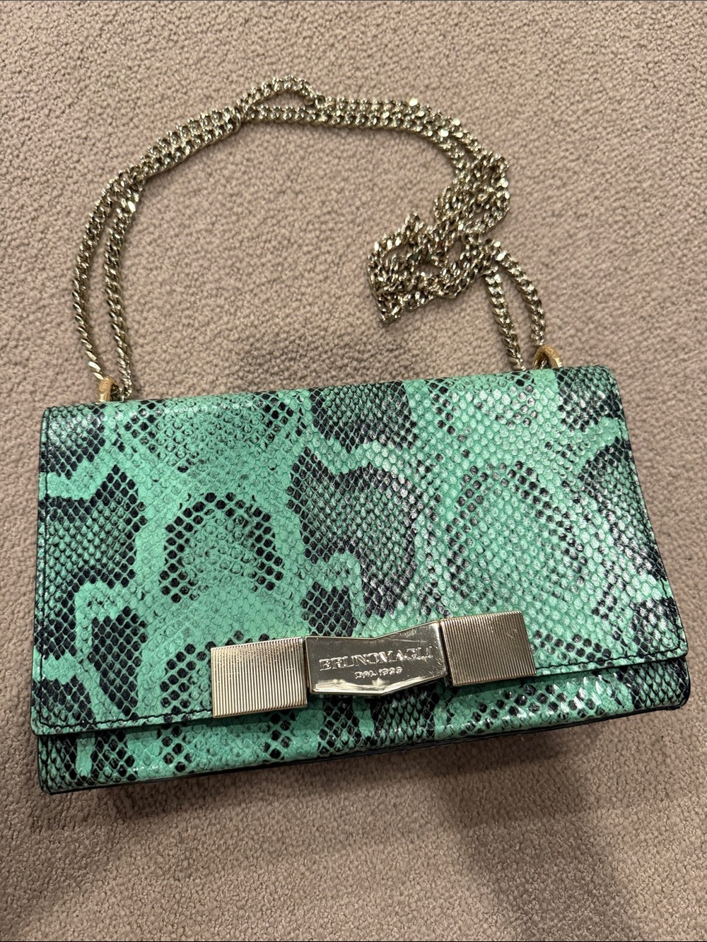 Bruno Magli Mint Green Snake-Print Chain Crossbody